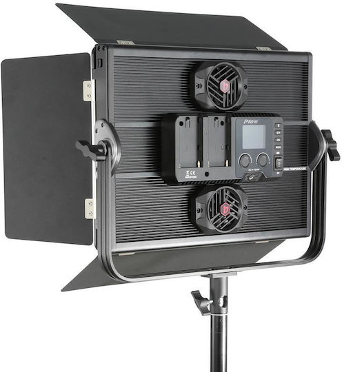 Jinbei 80W