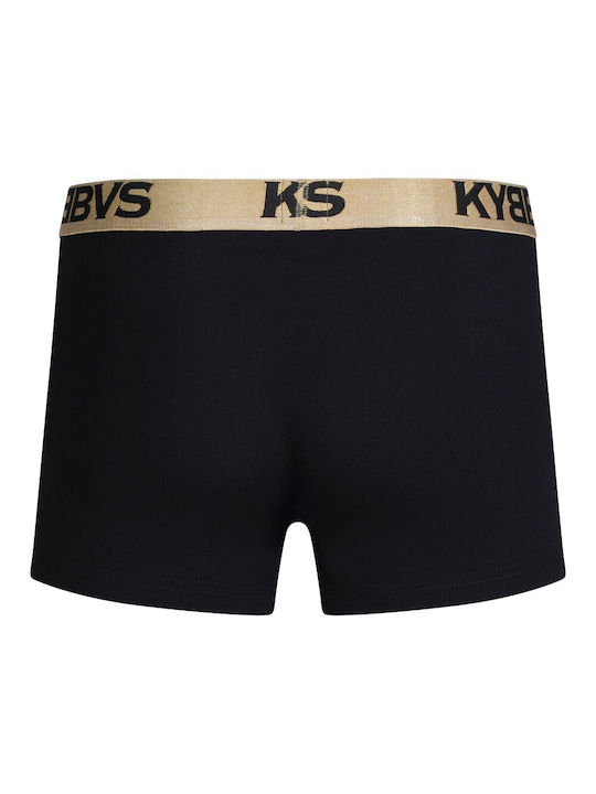 Kybbvs
