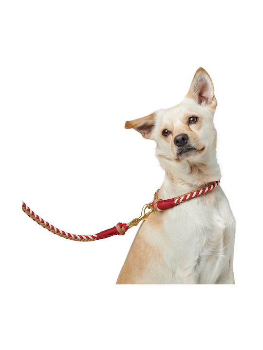 Περιλαίμιο Hunter Collar Tinnum Xl Bleu Beige