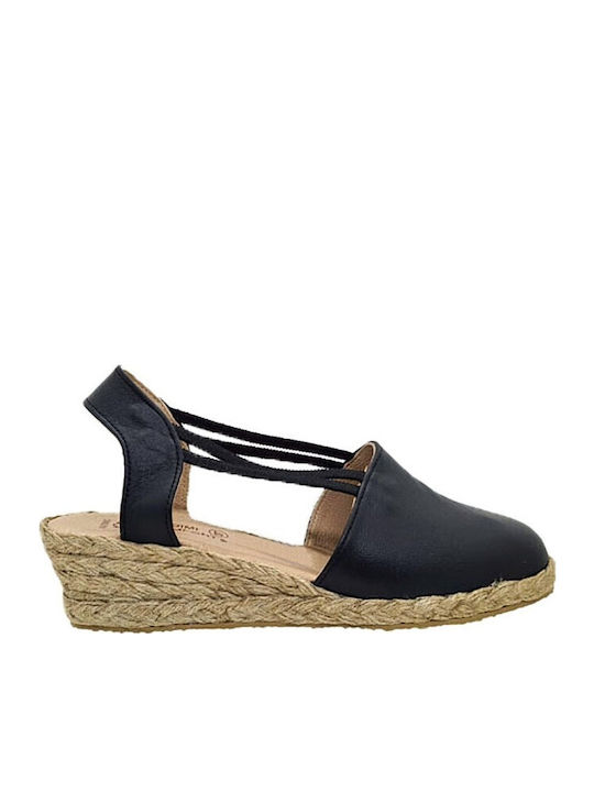 Dimi Comfort