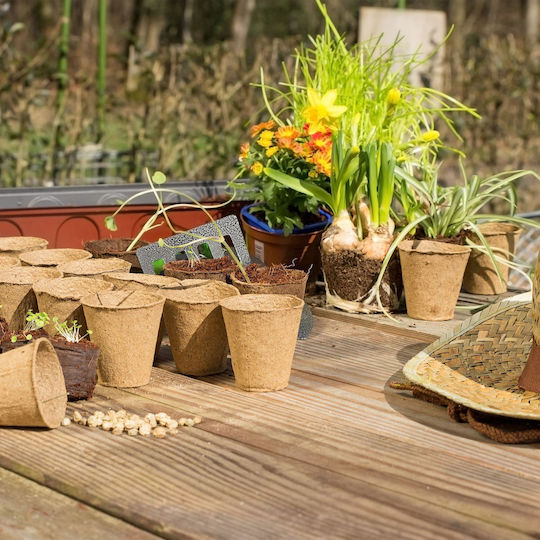 Set 120 Biodegradable Pots 7.5 X 8 Cm Relaxdays
