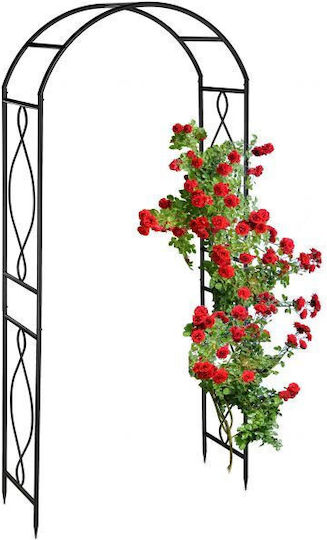 Arc Metalic pentru Flori Cățărătoare Relaxdays Negru Dimensiuni 230 X 100 X 40 Cm