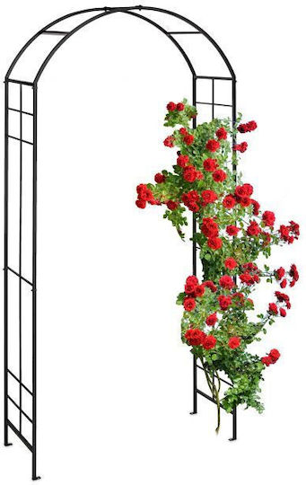 Arcadă Metalică pentru Grădină Flori Cățărătoare Negru Dimensiuni 224 X 110 X 41 Cm Relaxdays