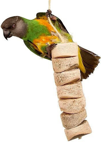 Bird Kabob Zubehör für Papageienkäfige aus Hölzernes 32x5cm