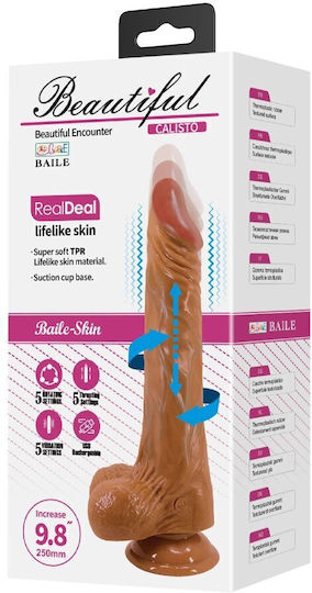 Baile Realistisches Dildo mit Hoden und Saugnapf Fleisch 24cm