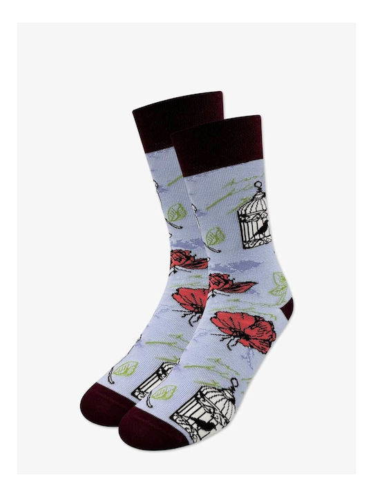 Gift Box Cotton Socks Designs Mixed 6 Pairs Nodo