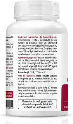 Zenyth 500mg 4gr 200ml 60 Kapseln Energie