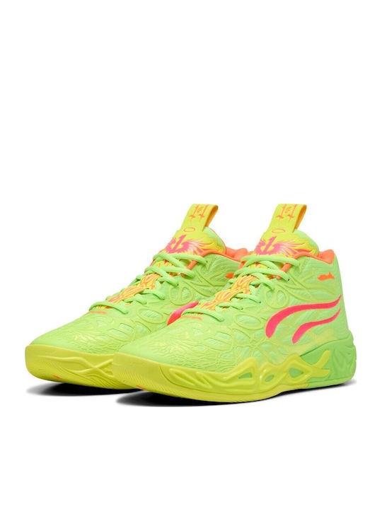 PUMA