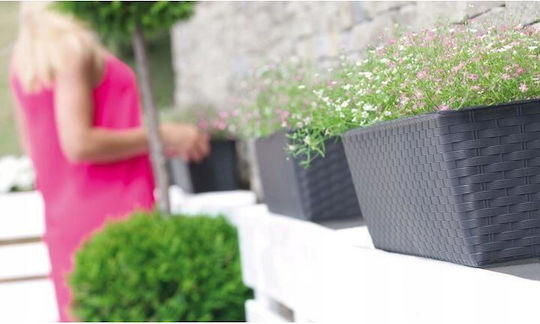 Set 4 Decorative Planters Anthracite 68.5x17.3x15 Cm Ratolla Case P