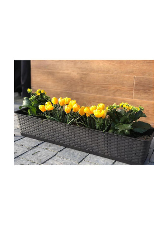 Set 4 Decorative Planters Anthracite 68.5x17.3x15 Cm Ratolla Case P