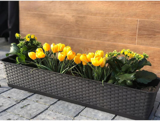 Set 4 Decorative Planters Anthracite 68.5x17.3x15 Cm Ratolla Case P
