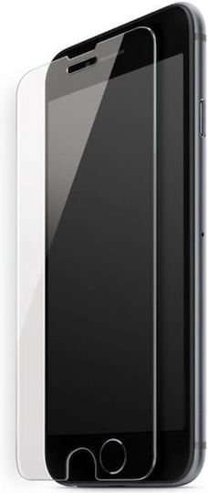 Tempered Glass (iPhone 8 Plus / 7 Plus)