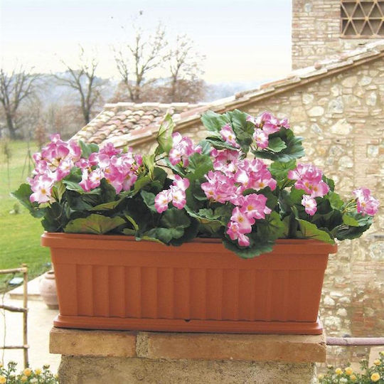 Bama Planter Box Plastic Light Terracotta Bama Planter Box Plastic Light Terracotta