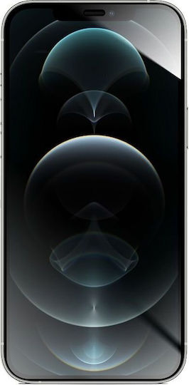 Forcell Flexible Nano Gehärtetes Glas (iPhone 12 Pro Max)