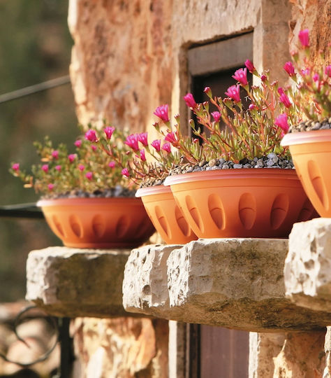 Bama Ghiveci Plastic Light Terracotta 35x35x15cm.
