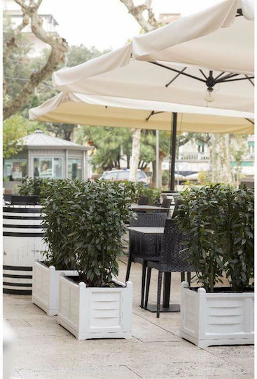 Bama Planter Box Metallic White Bama Planter Box Metallic White