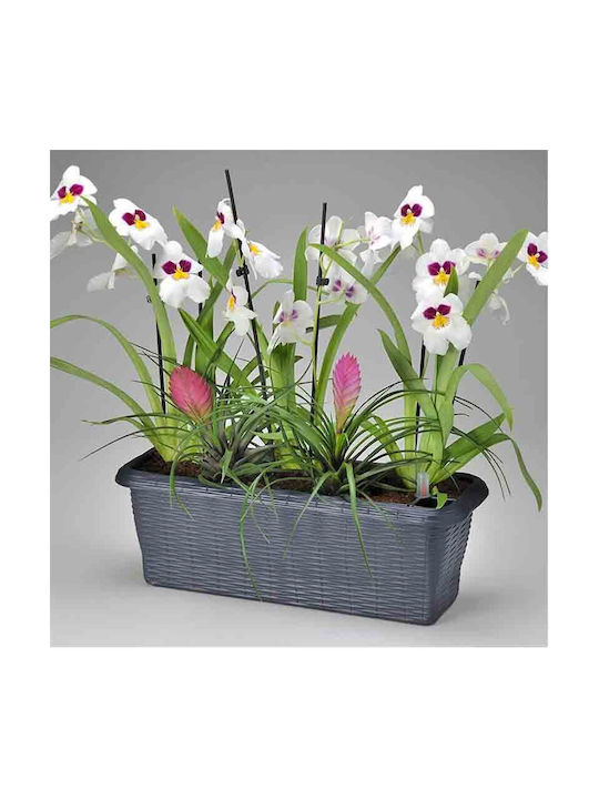 Bama Self-watering Planter Box Plastic Straw 40x20x17.5cm.