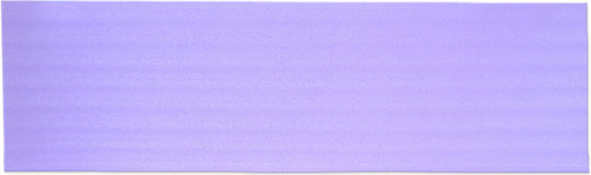 Master Exercise Mat Blue (180x50cm)