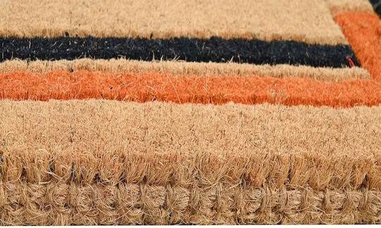 Entrance Mat made of Coir with Anti-slip Backing Black 45x75cm