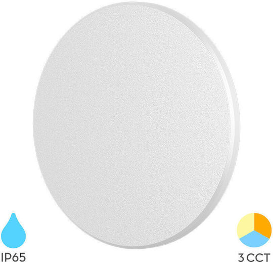 Braytron Iluminat Exterior Montat Pe Perete Broască Țestoasă Led Încorporat IP65 Cu Lumină Albă Reglabilă
