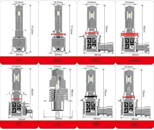 Bizzar Lamps Car & Motorcycle HB4-9006 LED 6500K Cold White 12V 2pcs