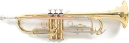 Roy Benson Tr-202 Τρομπέτα
