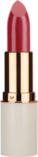 MD Professionnel Κραγιόν 70 5gr