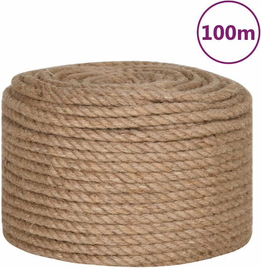 vidaXL Rope with Diameter 10mm and Length 100m