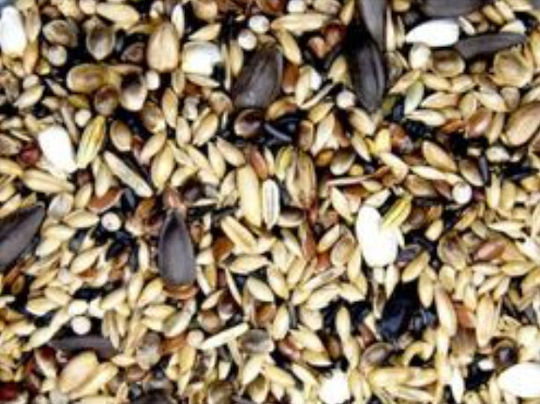 Royal Vogelfutter Royal Vogelfutter No3 Goldfinches Birds Food for Wild Birds 20kg