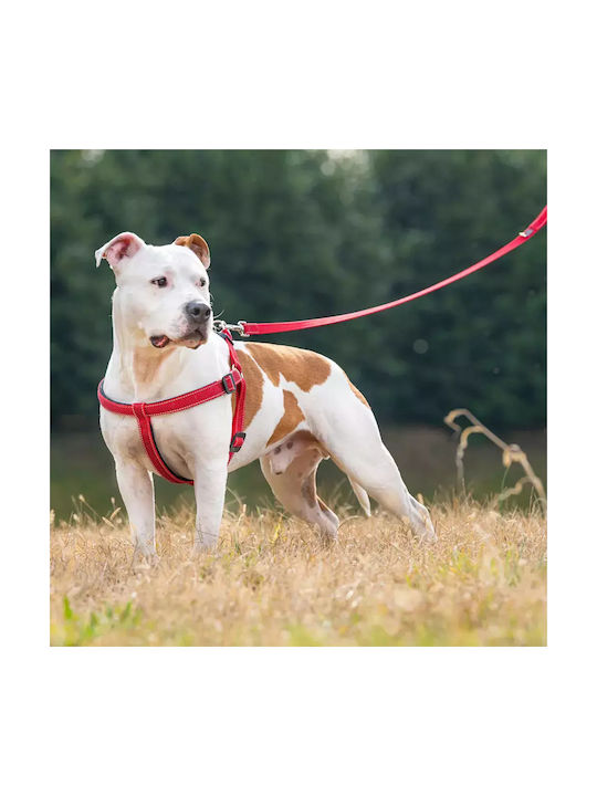Ferplast Daytona Deluxe P Large Red Harness