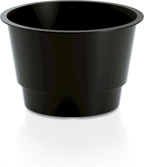 Prosperplast Container