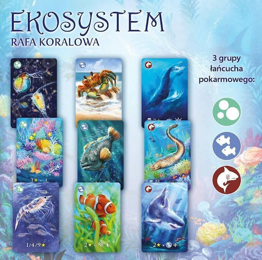 Board Game Marinevista Premium (PL) Nasza Ksiegarnia