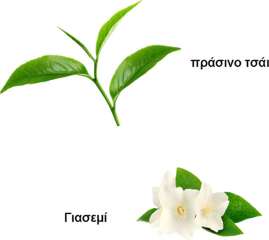 O Dromos tou Tsagiou Зелен Чай 100гр 1бр