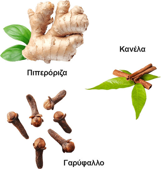 Τσάι Yogi 100gr