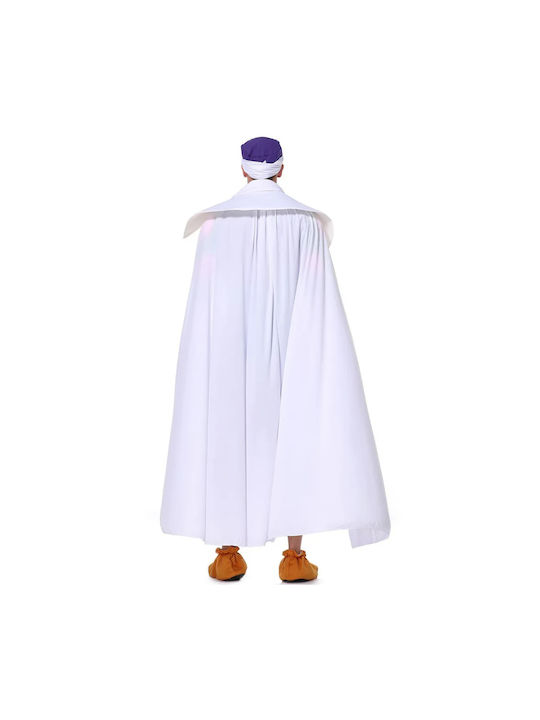 Carnival Costume