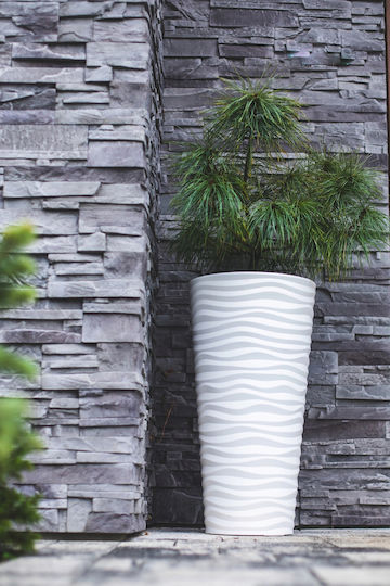 Sahara Dunes Slim 30 Round Pot Black