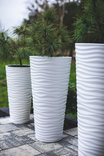 Sahara Dunes Slim 30 Round Pot Black