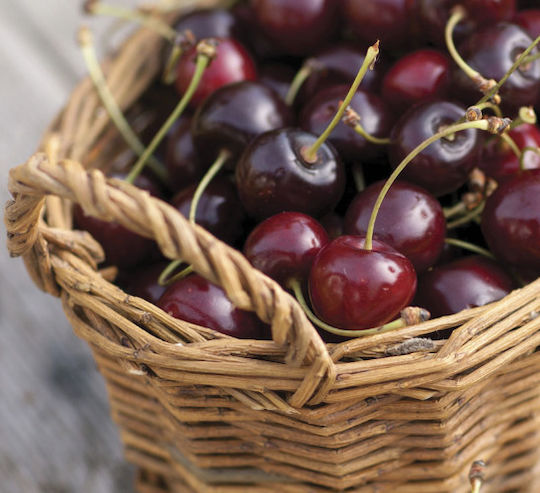 Heart & Home Aromatisches Soja-Kerze im Gefäß mit Duft Schwarze Kirsche Bonbons 115g