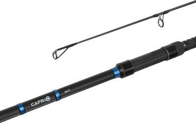 Delphin Capri Nxt Carbon Fishing Lanseta de pescuit pentru Turnare 3.6m 398gr