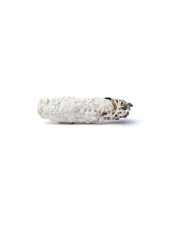 Αρωματικά Sticks με Άρωμα Ευκάλυπτος 20gr