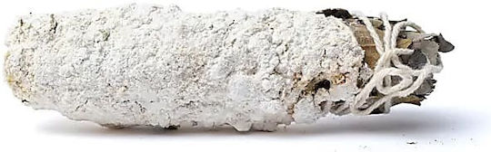 Αρωματικά Sticks με Άρωμα Ευκάλυπτος 20gr