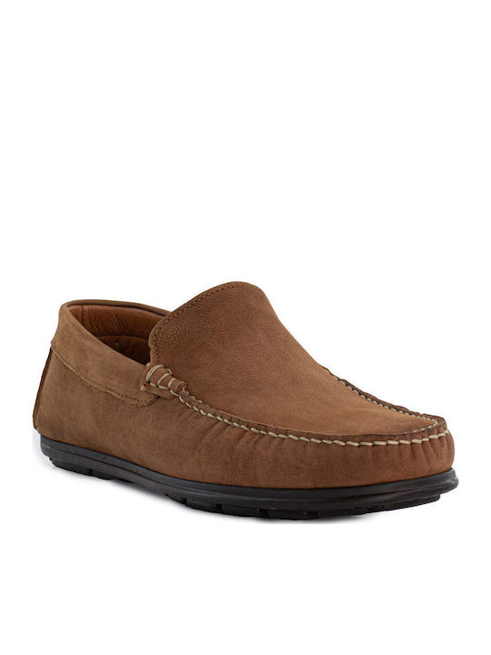 Damiani