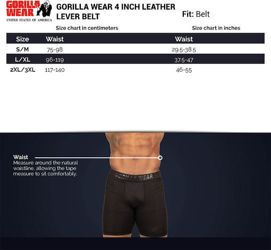 Gorilla Wear 6 Inch Padded Leather Lifting Belt Black Gold