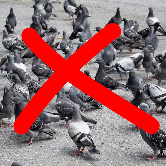 Relaxdays Repellent Scare Birds 320gr 0.58x0.58m