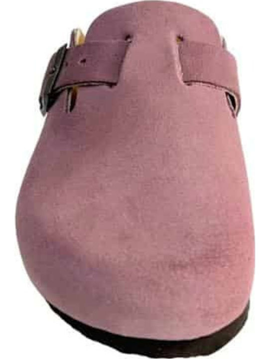 Plakton
