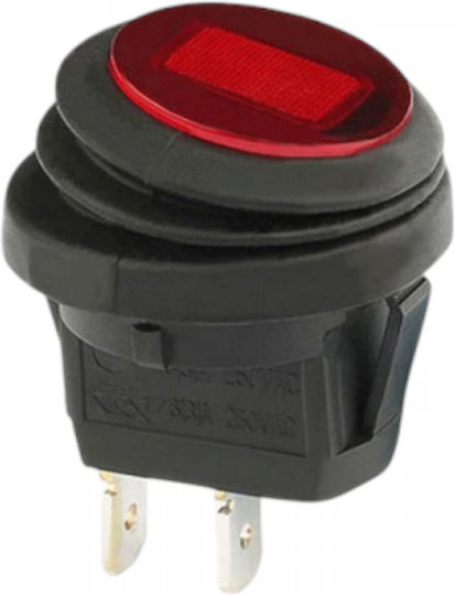 Raistar Comutator On/Off auto