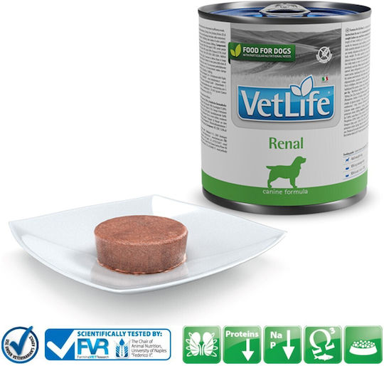 Farmina Vet Life Wet Food Dogs in Cans Diet with Fish Gluten-Free 300gr