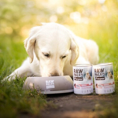 VetExpert Paleo Nasses Hundefutter in Dose mit Schweinefleisch ohne Getreide & Gluten 800gr