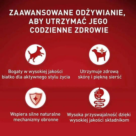 Purina One One Nassfutter Hunde in Beutel mit Rindfleisch und Fleisch ohne Gluten 85gr