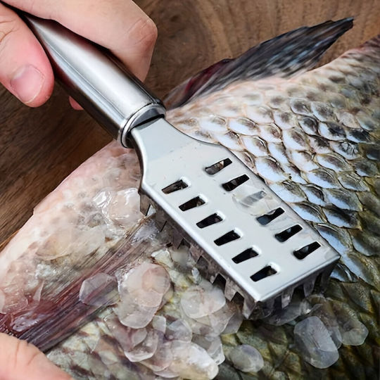 Fish Descaler made of Stainless Steel